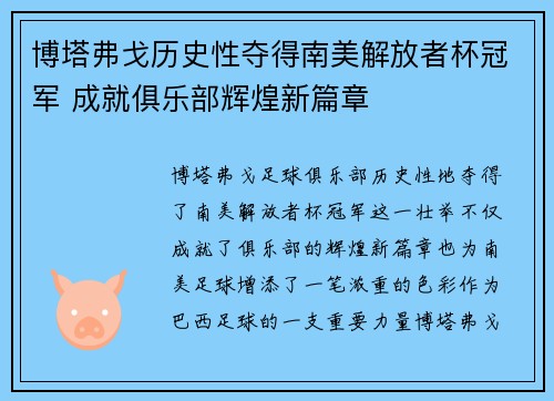 博塔弗戈历史性夺得南美解放者杯冠军 成就俱乐部辉煌新篇章
